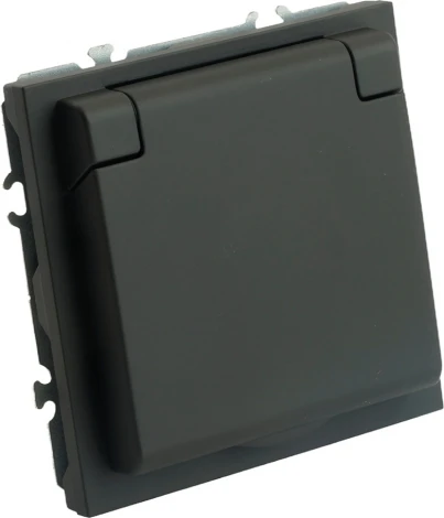 Розетка без заземления с защитной крышкой (черный) Stekker Эмили 49852