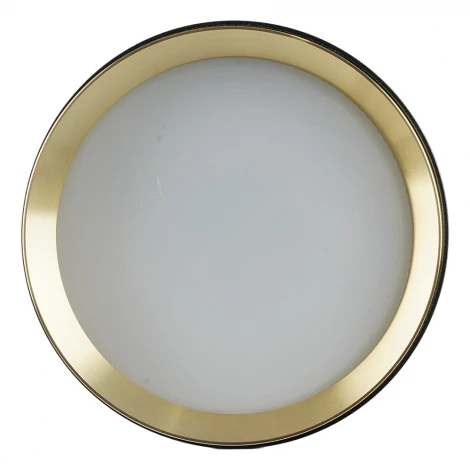 Потолочный светильник Feron HL459 52021