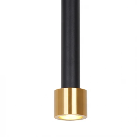 Подвесной светильник Lumien Hall Noale LH4097/1P-SBK-GD