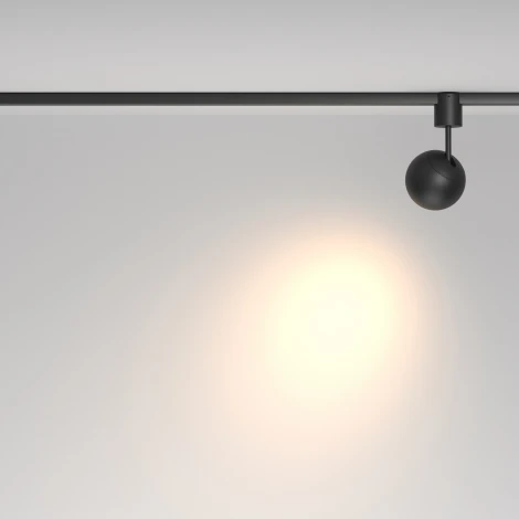 Трековый светильник Maytoni Elasity Sfera TR164-1-8W3K-M-B (LED, 48V, шар)