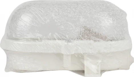 Настенно-потолочный светильник ЭРА НБП 01-60-012 (220V, IP53)