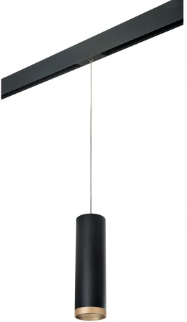 Трековый светильник однофазный 220V Lightstar Rullo PRORP649790 (круглые)