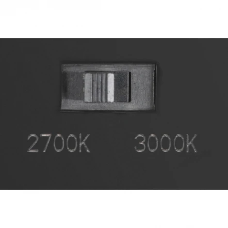 Настенный светильник уличный светодиодный Oasis Light SIDNEY LED W2096-2-3K Gr (220V, IP65)