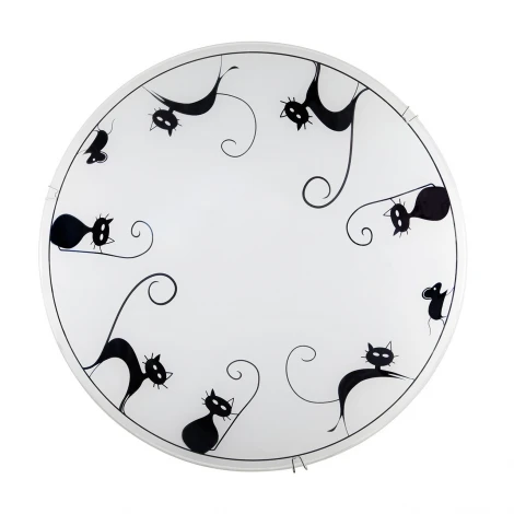 Настенно-потолочный светильник Brilliant Cat 05998/75