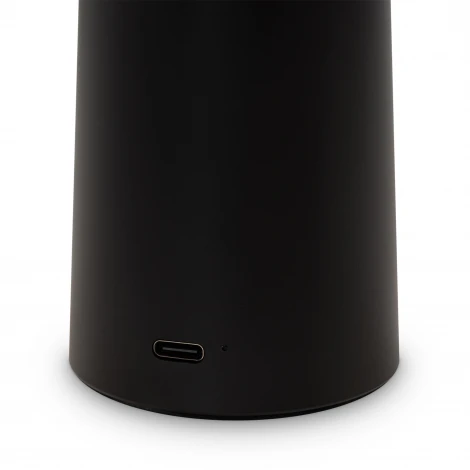 Настольная лампа с аккумулятором светодиодная гриб Freya Mushroom FR6109TL-L4B