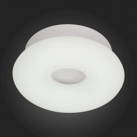 Потолочный светильник ST Luce Albo SL902.052.01D