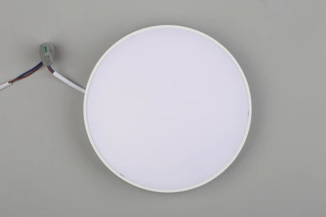 Потолочный светильник круглый Aployt Evon APL.0113.09.24 (LED, 220V, круглые)