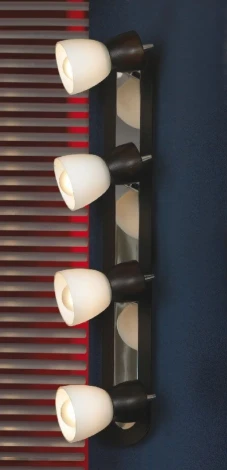 Настенно-потолочный светильник Lussole Messina LSL-8209-04
