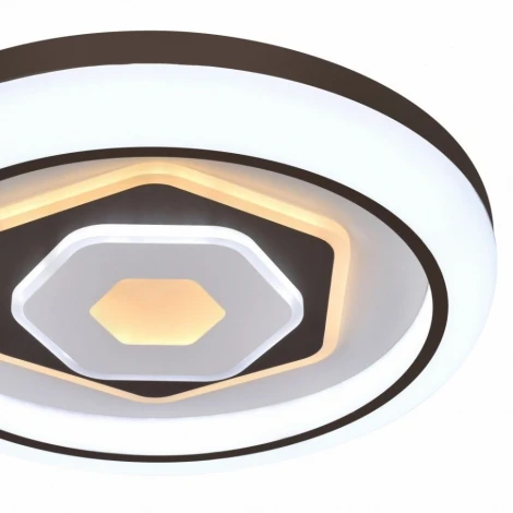 Потолочный светильник F-Promo Lamellar 2456-5C