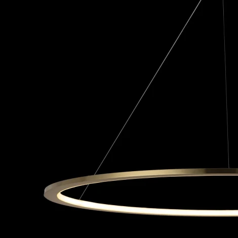 Подвесной светильник Loft IT Ring 10014XXL (LED, 220V, на тросе, кольцо)