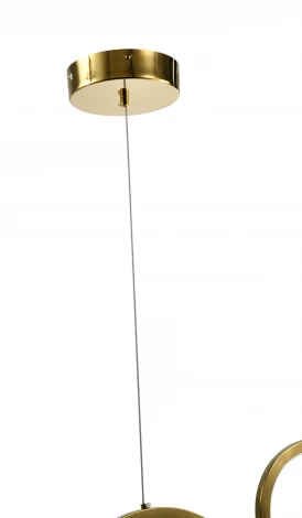 Подвесной светильник Zortes Osty ZRS.1209.04 (LED, 220V, на тросе)