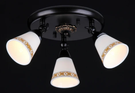 Спот Maytoni Spot 1 ECO001-33-R