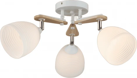 Потолочная люстра на штанге Мелодия Света 000060405