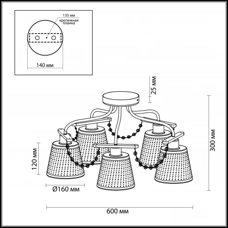 Потолочная люстра Odeon Light Salanso 2931/5C