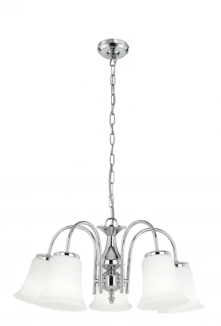 Подвесная люстра Arte Lamp Semplice A7635LM-5CC