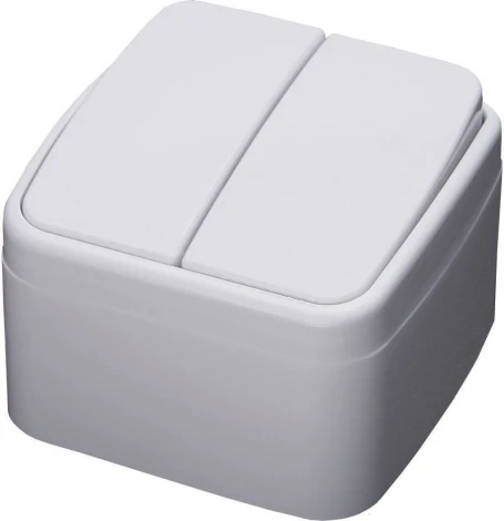 Выключатель двухклавишный (белый) Stekker Basic 39032