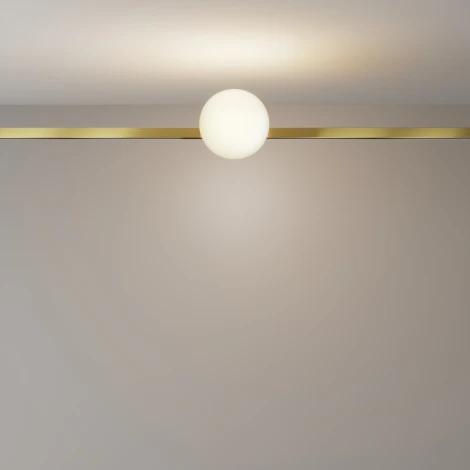 Трековый светильник магнитный модульный светодиодный 5W 24V Maytoni Technical TR229-1-5W3K-BS