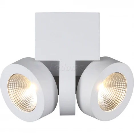 Спот Odeon Light Laconis 3538/2WA