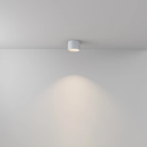 Накладной потолочный светильник Maytoni Hydra C090CL-10W3K-W (LED, 220V, круглые, IP44)
