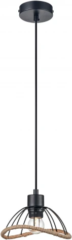 Подвесной светильник Vele Luce Formula VL6482P01