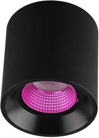 Накладной точечный светильник Denkirs DK3090-BK+PI