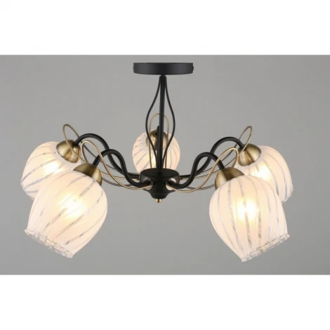 Потолочная люстра Omnilux 655 OML-65507-05