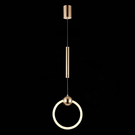 Подвесной светильник ST Luce Giera SL1578.203.01 (LED, 220V, на проводе, кольцо)