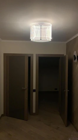 Потолочная люстра Simple Story 1163 1163-LED20CL (220V, круглые)