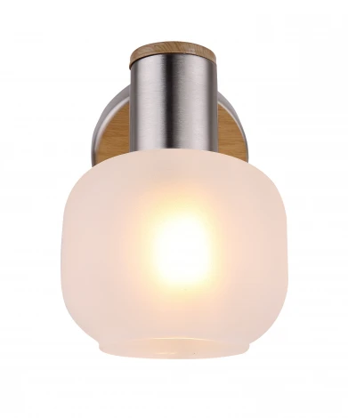 Спот Globo Loggi 54302-1