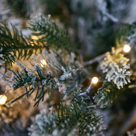 Дерево светодиодное «Ёлочка снежная», на батарейках 3АА (не в/к), 54х60см 30 светодиодов теплый белый Uniel ULD-T5460-030/SNA/3AA WARM WHITE IP20 XMAS TREE SNOW