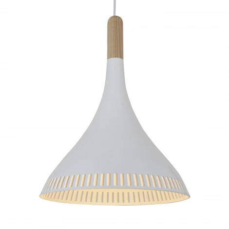 Подвесной светильник ST Luce Agilita SL710.503.01