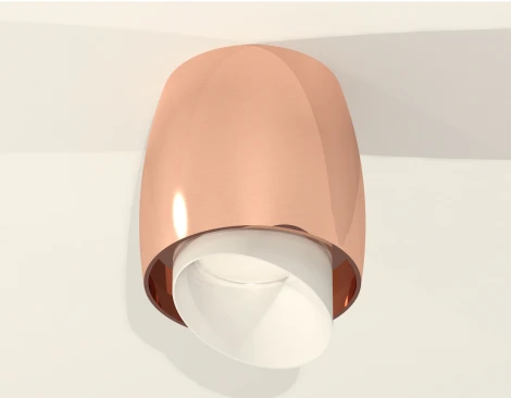 Накладной точечный светильник Ambrella Techno Spot XS1144021 (220V, круглые)