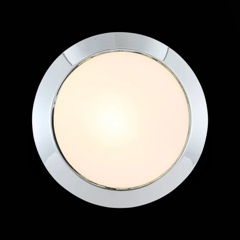 Настенно-потолочный светильник ST Luce Bagno SL469.502.01