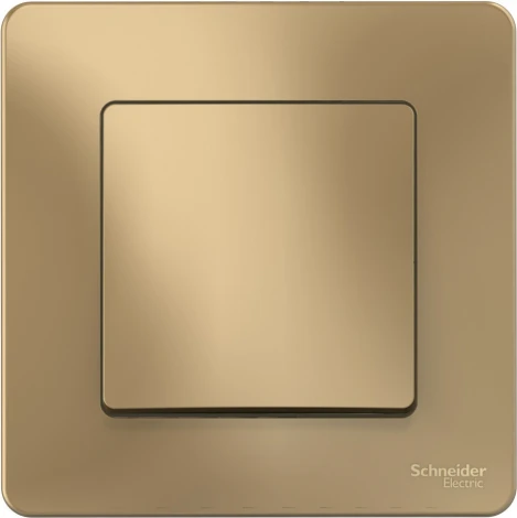 Выключатель встраиваемый одноклавишный (титан) Systeme Electric Blanca BLNVS010104