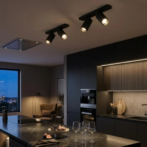 Настенно-потолочный спот Citilux Axel CL512521 Черный