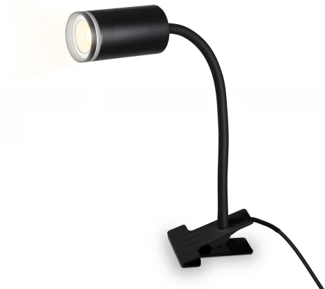 Офисная настольная лампа на прищепке Ambrella WALLERS FW2468 (220V, выключатель)