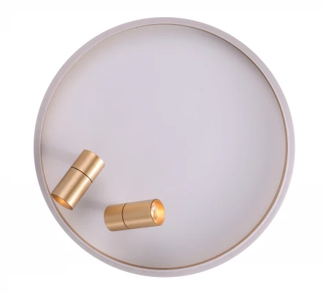 Потолочный светильник круглый со спотами Zortes Raizy ZRS.1888.02 (LED, 220V, круглые)