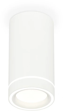 Накладной точечный светильник Ambrella Techno Spot XS8161004 (220V, круглые)