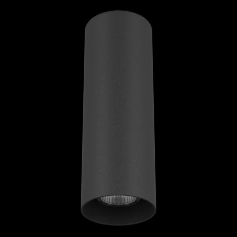 Накладной точечный светильник Lightstar Rullo 216497 (220V)