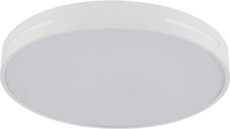 Потолочный светодиодный светильник Natali Kovaltseva Modern LED LAMPS 81334 с пультом ДУ 80W, белый, LED