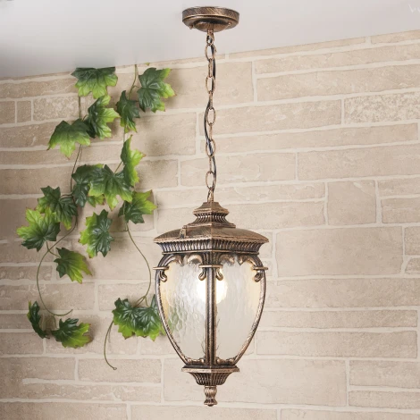 Уличный светильник подвесной Elektrostandard Andromeda черное золото GLYF-8024H (220V, на цепи, под старину, IP44)