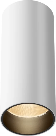 Потолочный светильник накладной Maytoni Focus Led C056CL-L12W2.7K-W-W (220V, круглые)