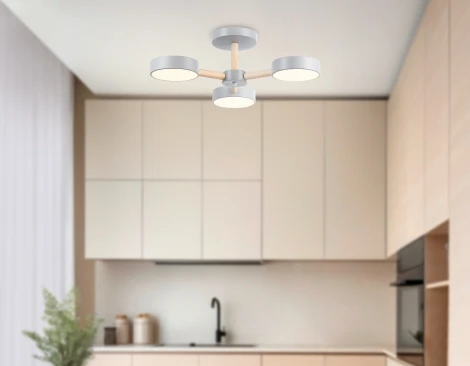 Потолочная люстра на штанге светодиодная с пультом Ambrella Comfort FL4822 (регулировка яркости, 220V, круглые)