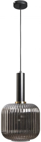 Подвесной светильник Loft It IRIS 2070-B+BL в форме шара