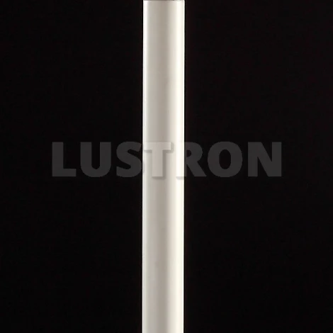 Торшер Maytoni Triumph ARM288-11-G