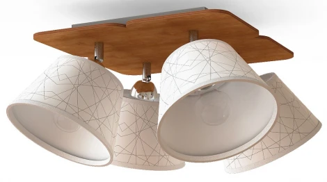 Потолочная люстра Дубравия Кайли 257-71-24