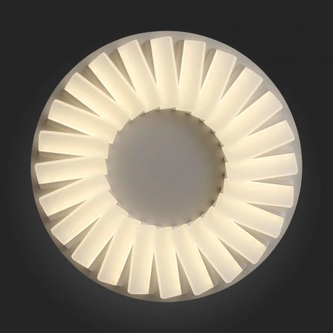 Потолочная люстра ST Luce Tifoso SL837.502.24