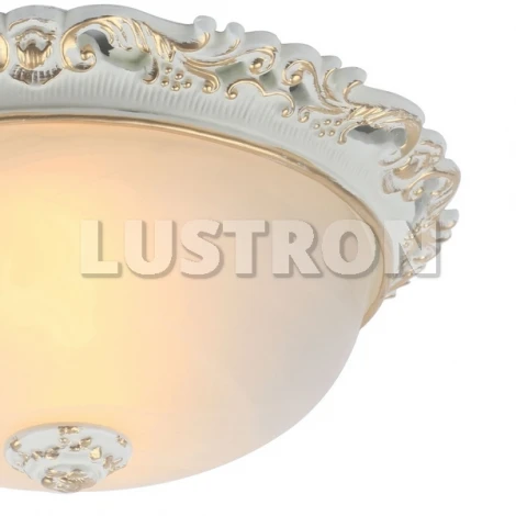 Потолочный светильник Arte Lamp Torta A7151PL-2WG