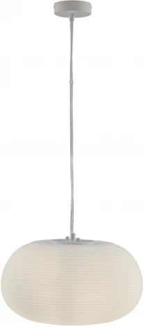 Подвесной светильник Moderli Arden V11346-1P (220V, на проводе, круглые)