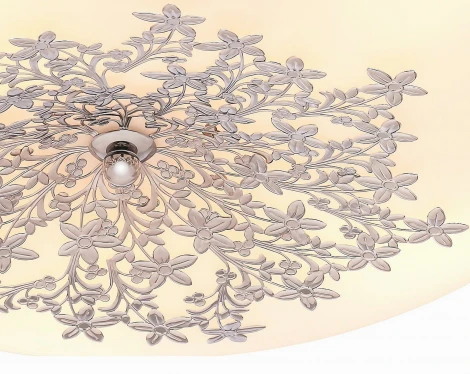 Настенно-потолочный светильник Silver Light Verbena 836.50.5
